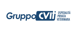 logo gruppo cvit